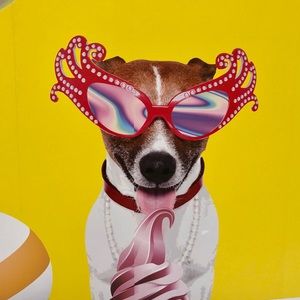 Meet your Posher, Elsa